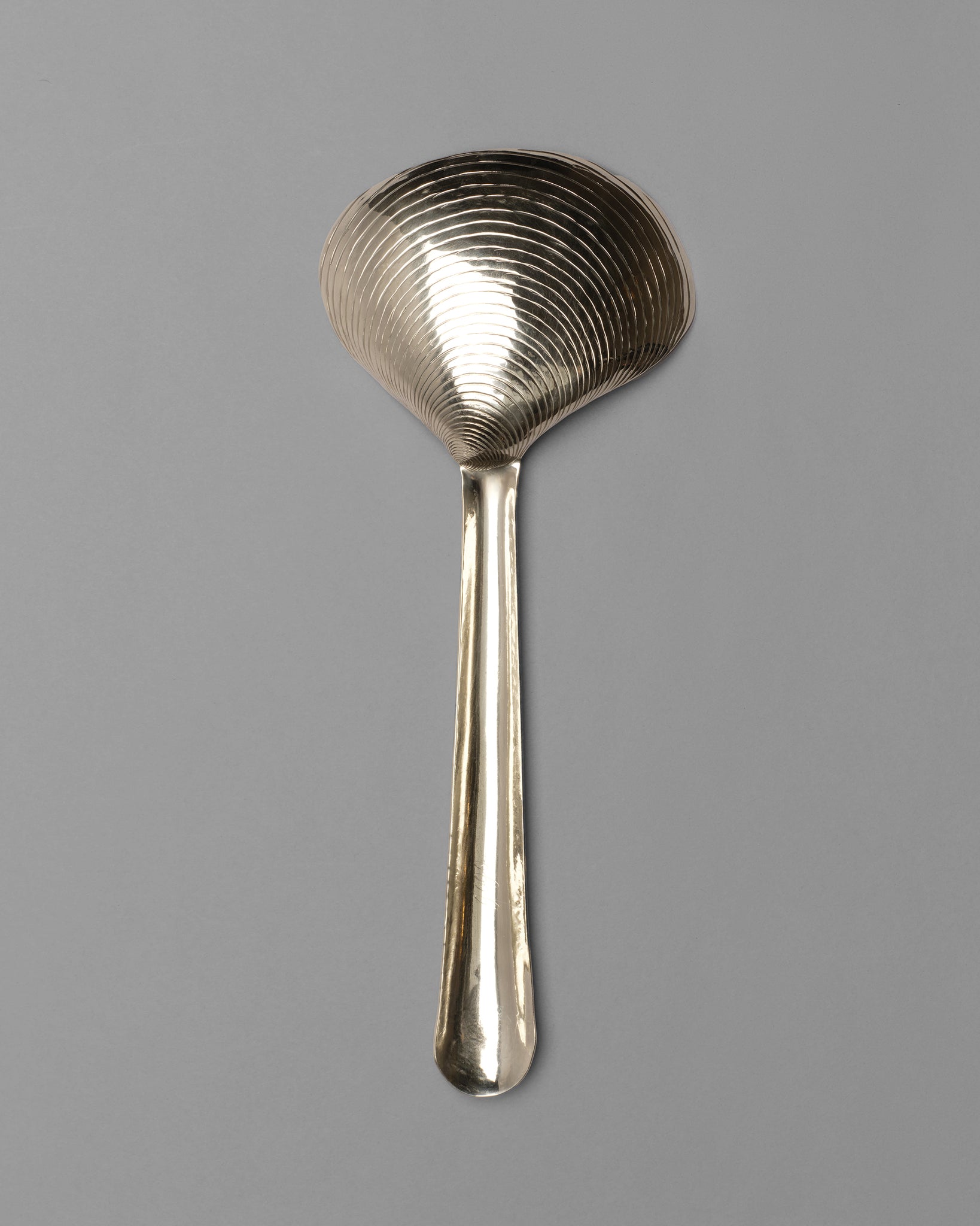 Clam Shell Spoon