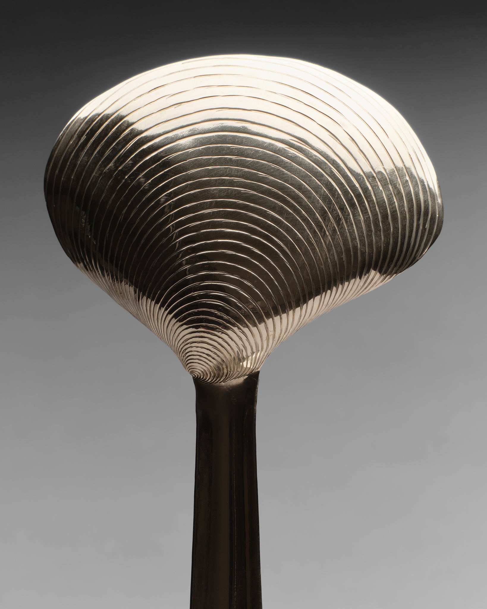 Clam Shell Spoon