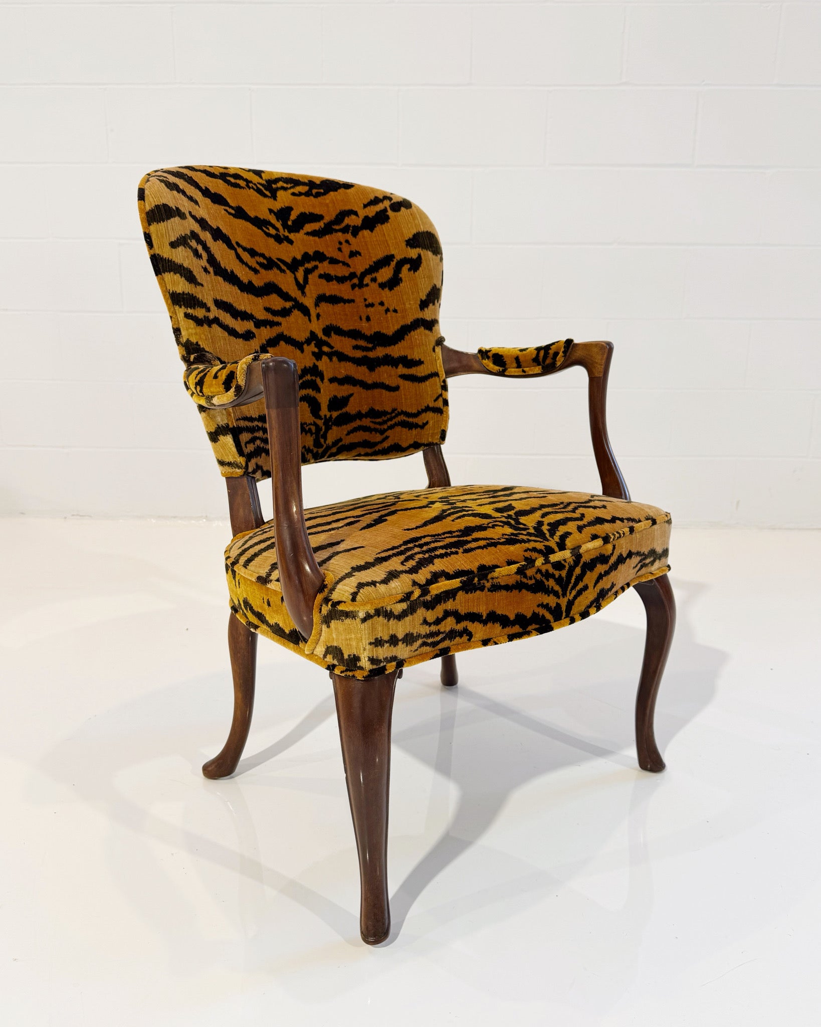 Armchair in Luigi Bevilacqua Tigre Velvet