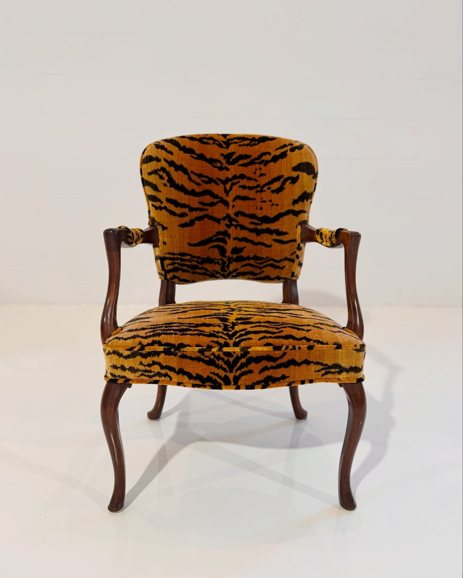 Armchair in Luigi Bevilacqua Tigre Velvet