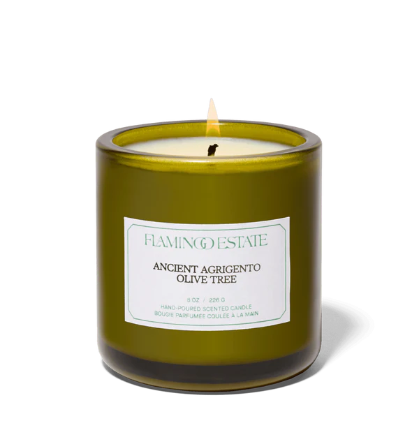 Ancient Agrigento Olive Tree Candle